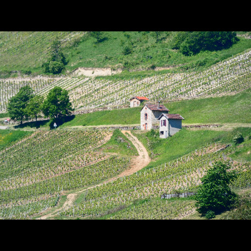 Maison vigneronne